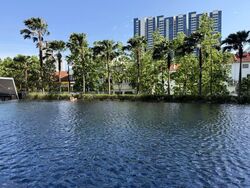 Sturdee Residences (D8), Condominium #562825461